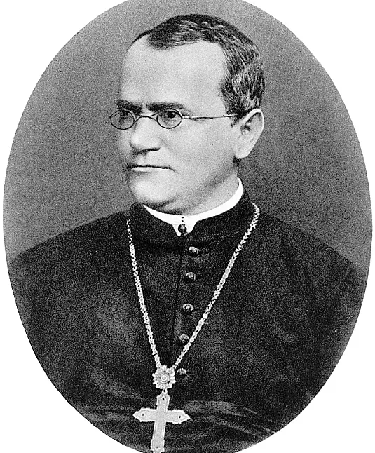 Gregor Mendel Kimdir? Ne Yapmıştır?Neler Başardı?