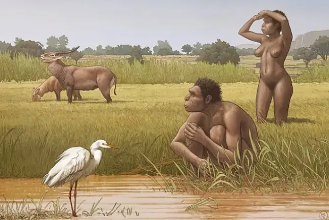 İnsanların Yeni Önerilen Doğrudan Atası Homo Bodoensis'midir ?