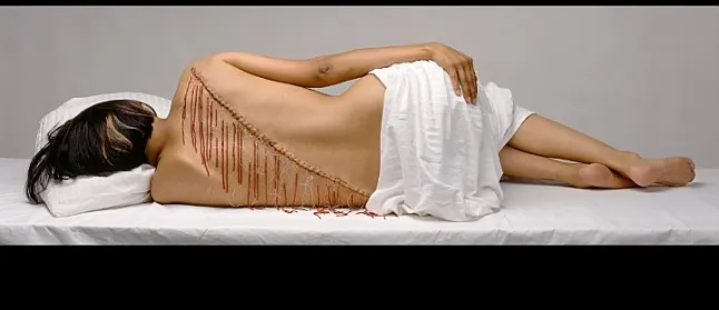 Rebecca Belmore'nin Sanatı Rebecca Belmore eserleri