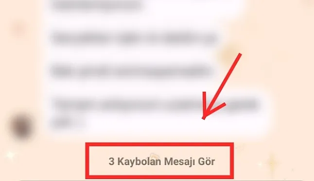 İnstagram Kaybolan Mesaj Modu Nedir?