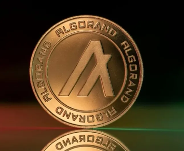 Algorand Coin hakkında bilgiler Algorand Coin nedir? (ALGO)Algorand Coin Ne İşe Yarar ?