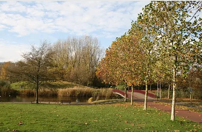 Hollanda'nın En Ünlü parkları