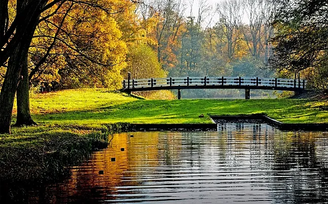 Amsterdam'Daki En Güzel Parklar Hangileridir ?