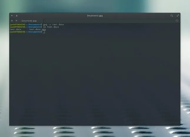 Linux'ta Gocryptfs ile dosyalar nasıl şifrelenir