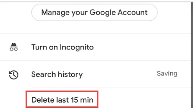 Google Arama Geçmişinin Son 15 dakikası Nasıl Silinir?