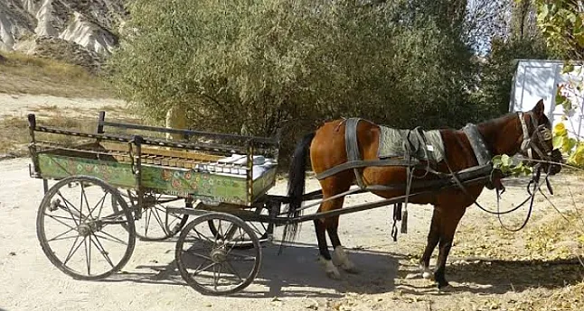 Rüyada At Arabası Görmek Ne Anlama Gelir?
