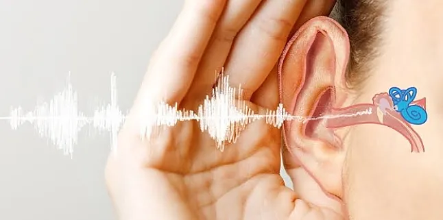 Gürültüye Bağlı İşitme Kaybı Nedir?