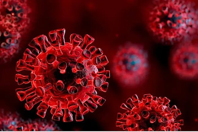 Omicron varyantı nedir, belirtileri nelerdir? Yeni koronavirüs varyantı Omicron hakkında bilgiler