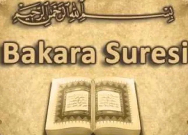 Rüyada Bakara Süresini Görmek Ne Anlama Gelir?