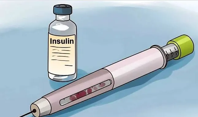 İnsülin Nelerden oluşur ?