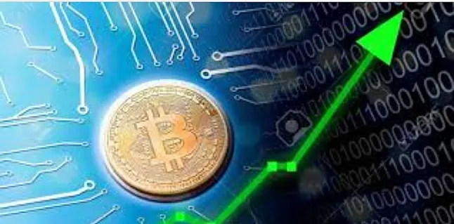 Kripto paralar
