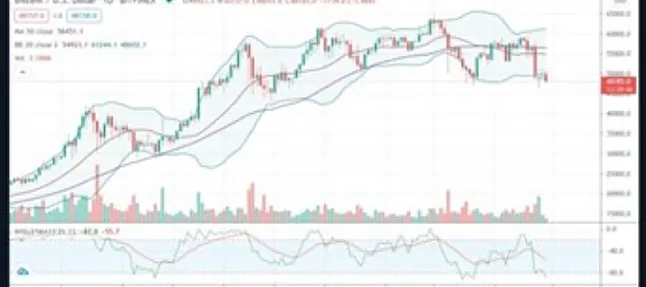 Arabic Cash Coin Nedir ?Arabic Cash Coin Ne İşe Yarar?