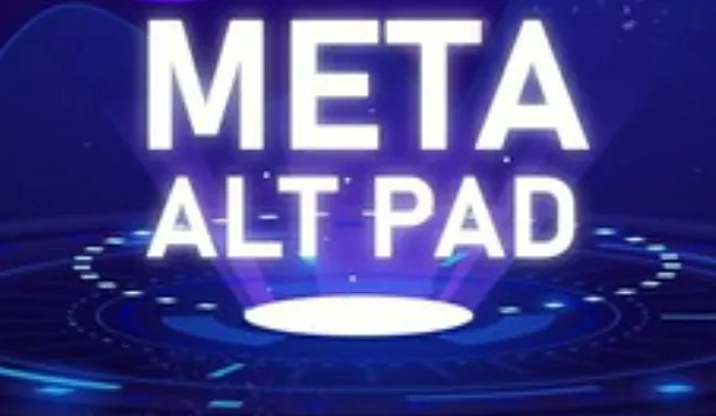 MetaAltPad Nedir? MetaAltPad Ne İşe Yarar?MetaAltPad Coin Nedir?