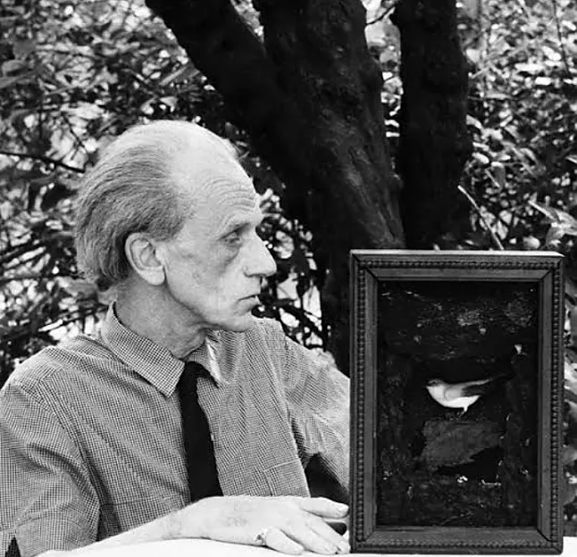 Joseph Cornell'in Biyografisi nedir Joseph Cornell'in Biyografisi Hakkında Bilgiler
