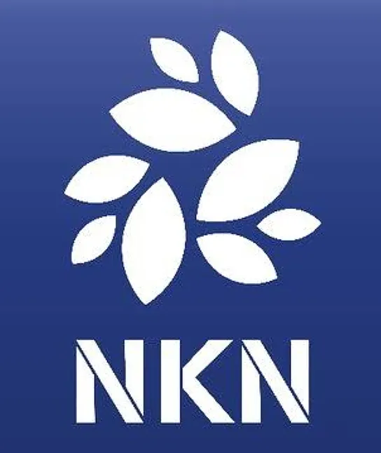 NKN Coin Nedir ?NKN Token Ne İşe Yarar?