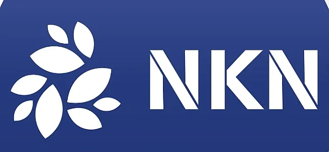 NKN Coin Nedir ?NKN Token Ne İşe Yarar?
