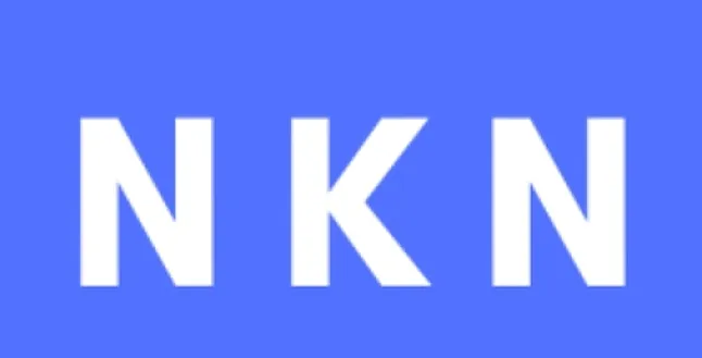 NKN Coin Nedir ?NKN Token Ne İşe Yarar?