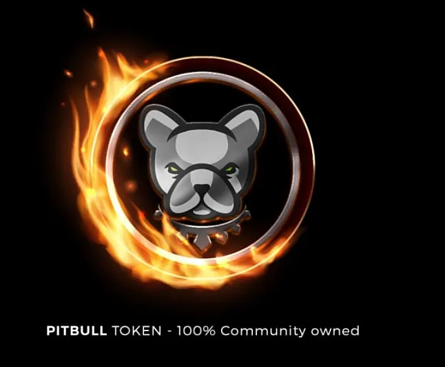 Pitbull Coin nedir?Pitbull TOKEN nasıl alınır?