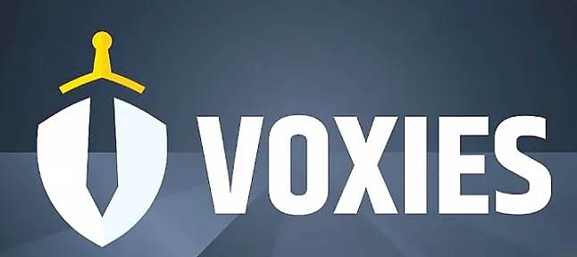 Voxel Coin Nedir?Voxel Coin Ne İşe Yarar?