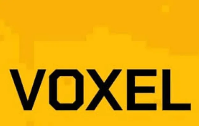 Voxel Coin Nedir?Voxel Coin Ne İşe Yarar?