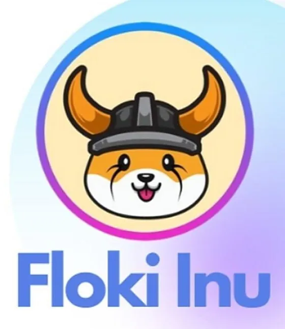 Floki Inu Coin Nedir?Floki Coin Ne İşe Yarar ?