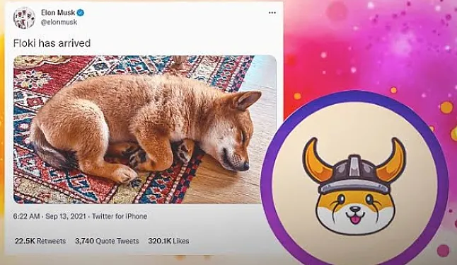 Floki Inu Coin Nedir?Floki Coin Ne İşe Yarar ?