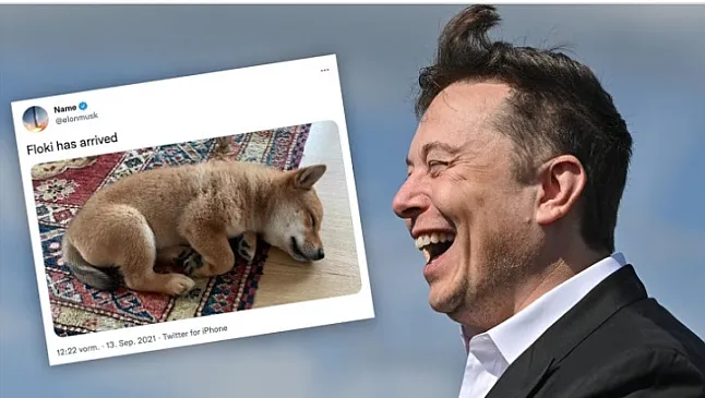 Floki Inu Coin Nedir?Floki Coin Ne İşe Yarar ?