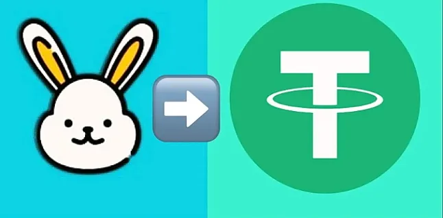 Little Rabbit Coin Geleceği Ve Yorum Haberleri