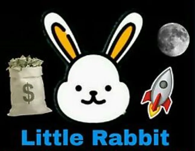 Little Rabbit Coin Geleceği Ve Yorum Haberleri