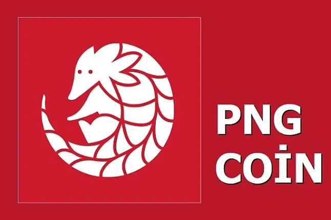 PNG Coin Nedir?Pangolin Coin Ne İşe Yarar?