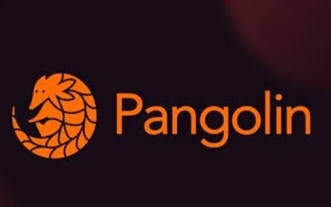 PNG Coin Nedir?Pangolin Coin Ne İşe Yarar?