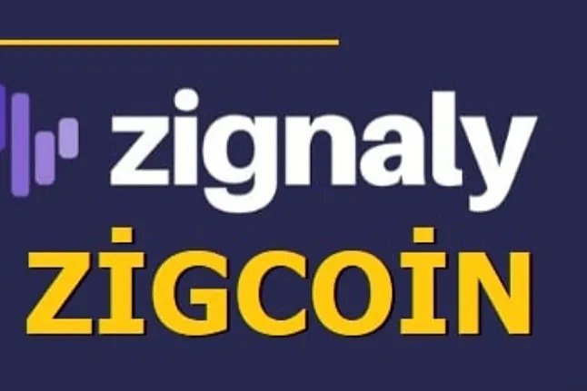 Zig Coin Nedir ?Zig Coin Ne İşe Yarar ?