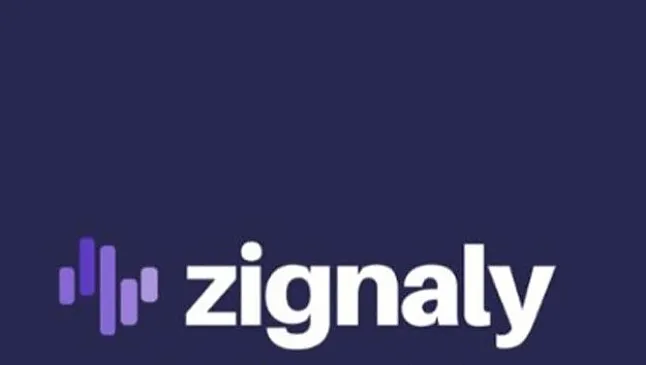 Zig Coin Özellikleri 