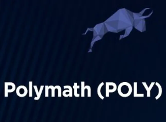 Polymath (POLY) Nedir?Polymath (POLY) Ne İşe Yarar?