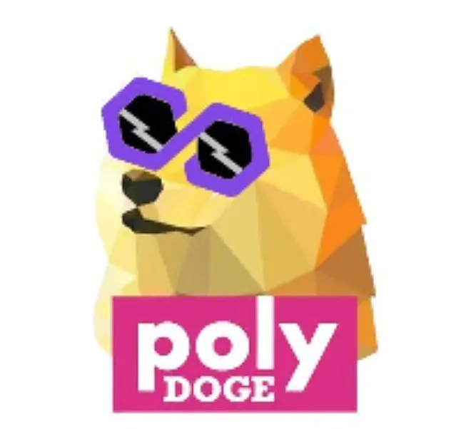 PolyDoge Coin Ne PolyDoge Nedir ?PolyDoge Ne İşe Yarar ?