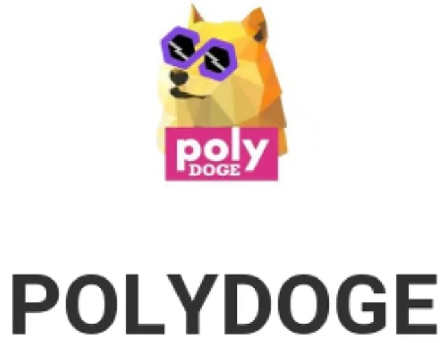 1641311540 PolyDoge Nedir ?PolyDoge Ne İşe Yarar ?