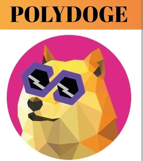 PolyDoge Nedir ?PolyDoge Ne İşe Yarar ?