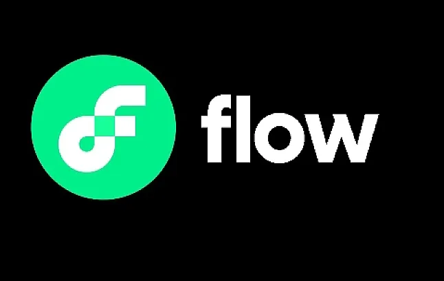 Flow Coin Nedir ?Flow Coin Ne İşe Yarar ?