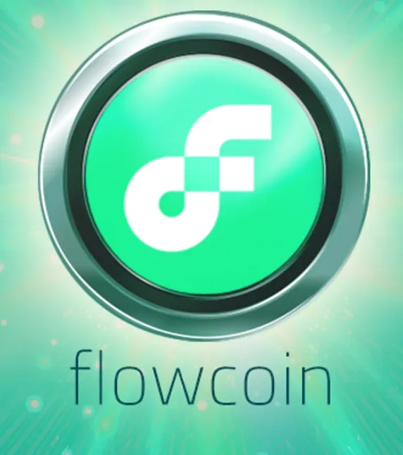 Flow Coin Nedir ?Flow Coin Ne İşe Yarar ?