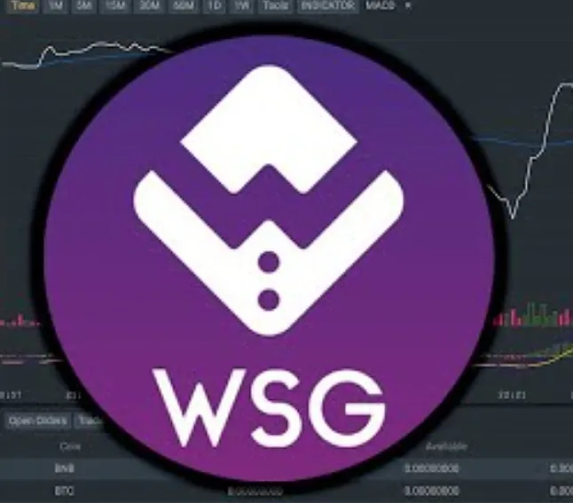 Wall Street Games (WSG) Coin Nedir?WSG Coin Ne İşe Yarar?