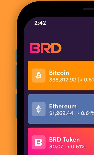 BRD Coin Nedir? BRD Coin Ne İşe Yarar ?