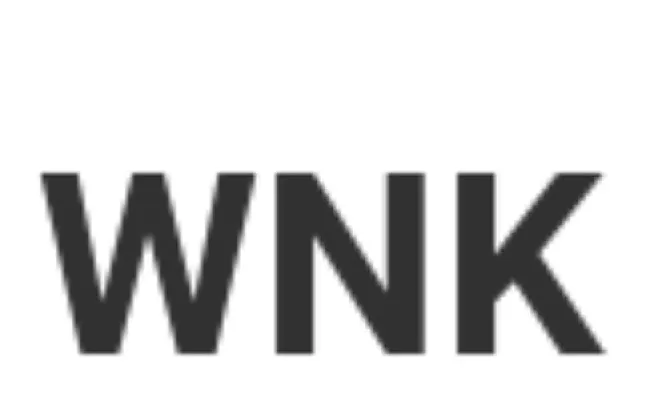 Winkyverse (WNK) Coin Nedir ?