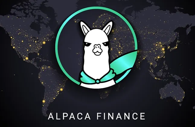 Alpaca Coin Nedir?Alpaca Coin Ne İşe Yarar?