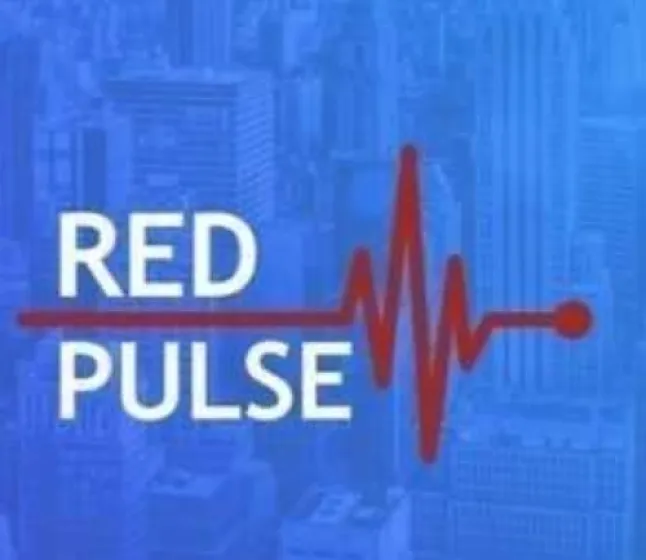 Red Pulse Phoenix Coin Nedir ?