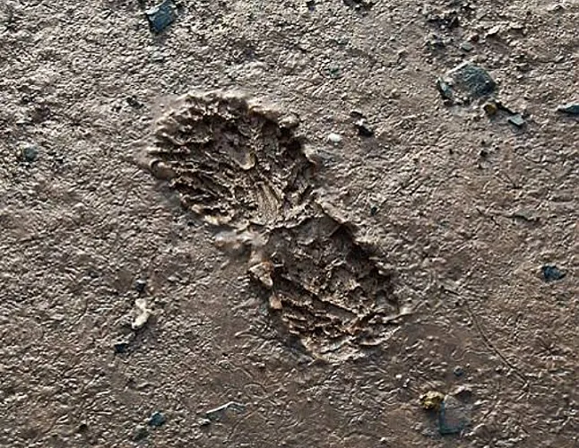 1642152806 Rüyada Çamur Görmek Ne Anlama Gelir? Nasıl Yorumlanır?