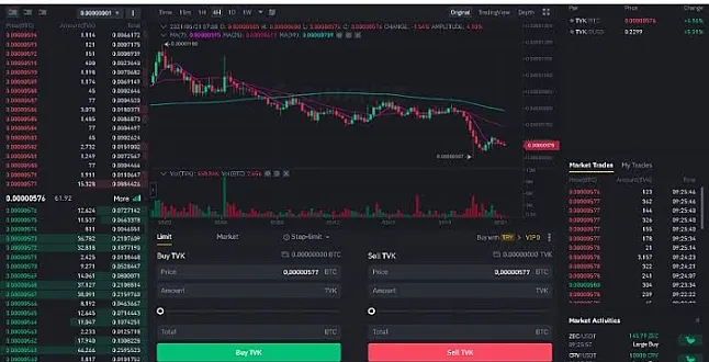 Terra Virtua Kolect (TVK) coin nedir?
