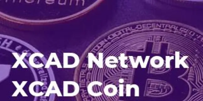 XCAD Coin Nedir?XCAD Coin Ne İşe Yarar?