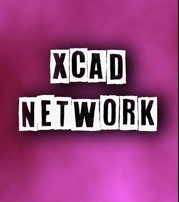 XCAD Coin Nedir?XCAD Coin Ne İşe Yarar?