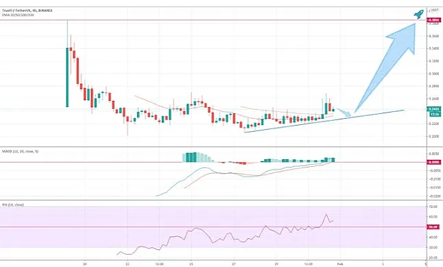 TrueFi Coin Nedir?