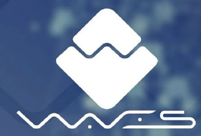 Waves Coin Nedir?